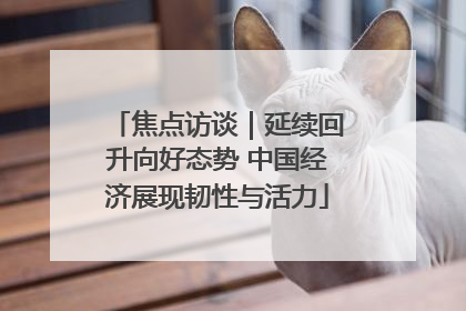 焦点访谈｜延续回升向好态势 中国经济展现韧性与活力