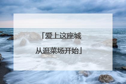 爱上这座城 从逛菜场开始