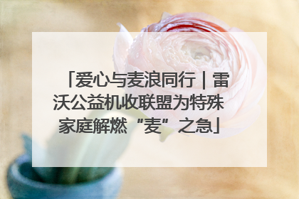 爱心与麦浪同行｜雷沃公益机收联盟为特殊家庭解燃“麦”之急