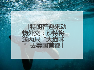 特朗普迎来动物外交：沙特将送两只“大猫咪”去美国首都