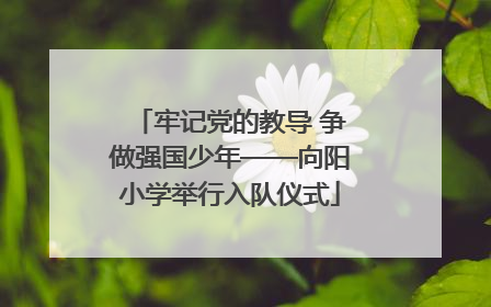 牢记党的教导 争做强国少年——向阳小学举行入队仪式