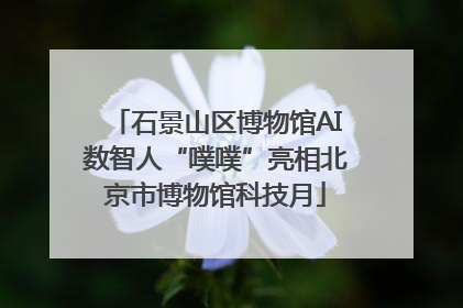 石景山区博物馆AI数智人“噗噗”亮相北京市博物馆科技月