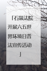 石鼓法院开展六五世界环境日普法宣传活动