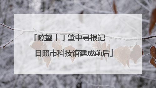 瞭望丨丁肇中寻根记——日照市科技馆建成前后