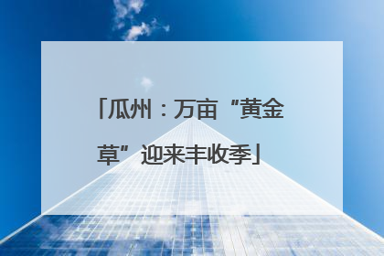 瓜州：万亩“黄金草”迎来丰收季