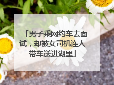 男子乘网约车去面试，却被女司机连人带车送进湖里