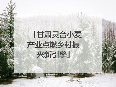 甘肃灵台小麦产业点燃乡村振兴新引擎