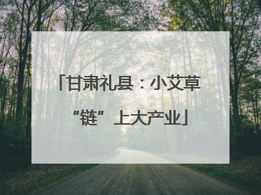 甘肃礼县：小艾草“链”上大产业