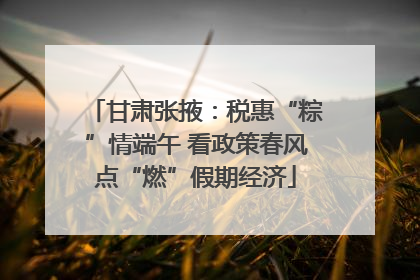 甘肃张掖：税惠“粽”情端午 看政策春风点“燃”假期经济