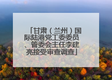 甘肃（兰州）国际陆港党工委委员、管委会主任李建亮接受审查调查