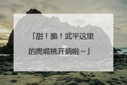 甜！脆！武平这里的鹰嘴桃开摘啦～
