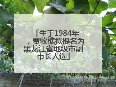 生于1984年，贾牧樵拟提名为黑龙江省地级市副市长人选