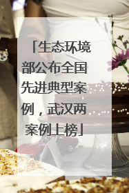 生态环境部公布全国先进典型案例，武汉两案例上榜