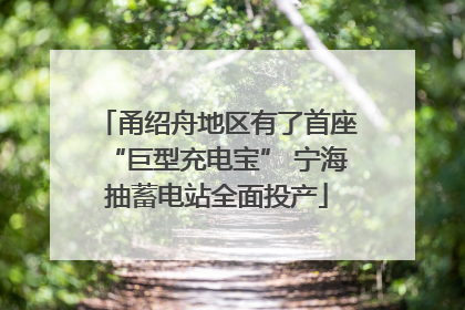 甬绍舟地区有了首座“巨型充电宝” 宁海抽蓄电站全面投产
