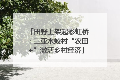 田野上架起彩虹桥：三亚水蛟村“农田+”激活乡村经济