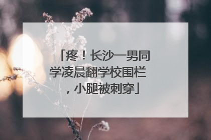 疼！长沙一男同学凌晨翻学校围栏，小腿被刺穿