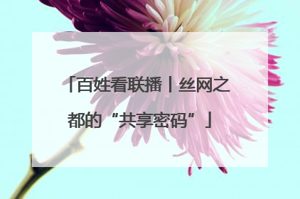 百姓看联播丨丝网之都的“共享密码”