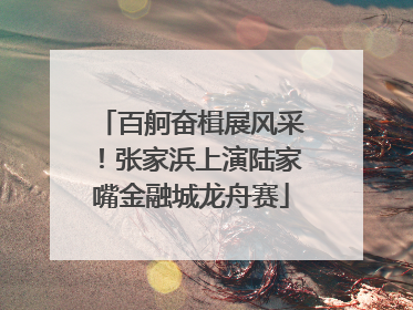 百舸奋楫展风采！张家浜上演陆家嘴金融城龙舟赛