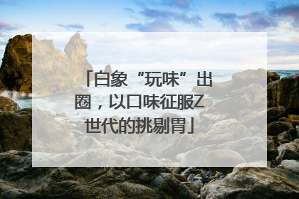 白象“玩味”出圈，以口味征服Z世代的挑剔胃