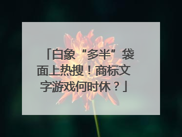 白象“多半”袋面上热搜！商标文字游戏何时休？