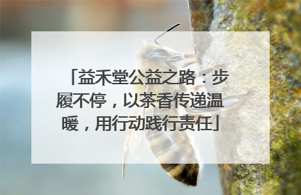 益禾堂公益之路：步履不停，以茶香传递温暖，用行动践行责任