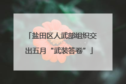 盐田区人武部组织交出五月“武装答卷”