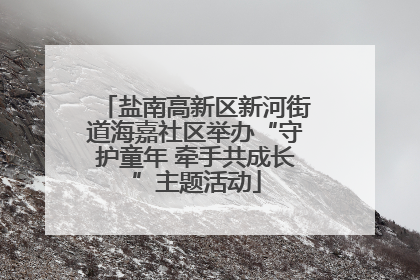 盐南高新区新河街道海嘉社区举办“守护童年 牵手共成长”主题活动