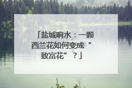盐城响水：一颗西兰花如何变成“致富花”？