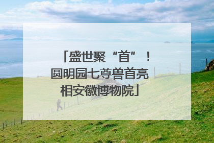 盛世聚“首”！圆明园七尊兽首亮相安徽博物院