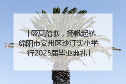 盛夏踏歌，扬帆起航 绵阳市安州区沙汀实小举行2025届毕业典礼