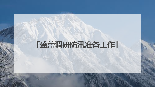 盛蕾调研防汛准备工作