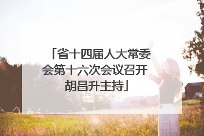 省十四届人大常委会第十六次会议召开 胡昌升主持