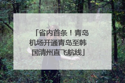 省内首条！青岛机场开通青岛至韩国清州直飞航线