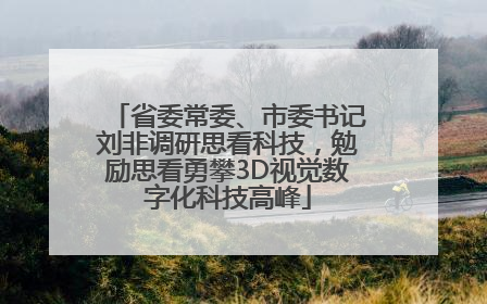 省委常委、市委书记刘非调研思看科技，勉励思看勇攀3D视觉数字化科技高峰