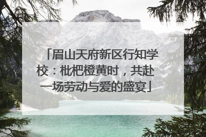 眉山天府新区行知学校：枇杷橙黄时，共赴一场劳动与爱的盛宴