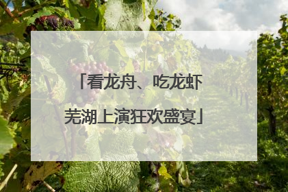 看龙舟、吃龙虾 芜湖上演狂欢盛宴