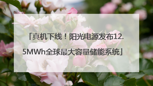 真机下线！阳光电源发布12.5MWh全球最大容量储能系统