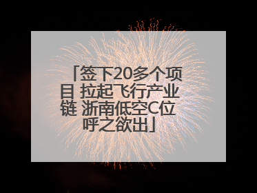 签下20多个项目 拉起飞行产业链 浙南低空C位呼之欲出