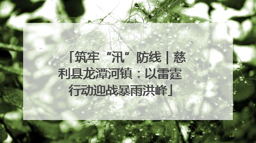 筑牢“汛”防线｜慈利县龙潭河镇：以雷霆行动迎战暴雨洪峰