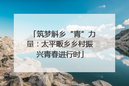 筑梦斛乡“青”力量：太平畈乡乡村振兴青春进行时