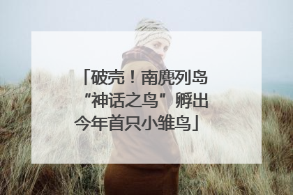 破壳！南麂列岛“神话之鸟”孵出今年首只小雏鸟