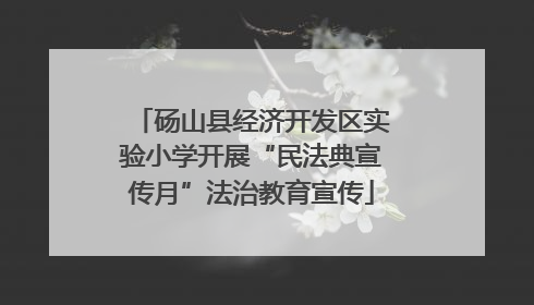 砀山县经济开发区实验小学开展“民法典宣传月”法治教育宣传