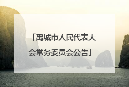禹城市人民代表大会常务委员会公告