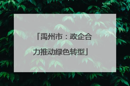 禹州市：政企合力推动绿色转型