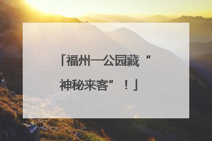 福州一公园藏“神秘来客”！