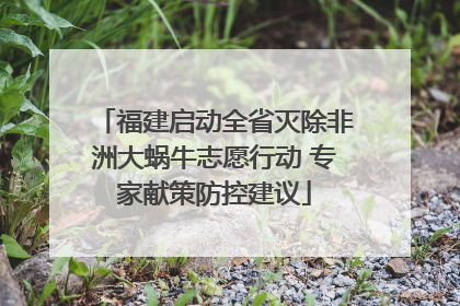 福建启动全省灭除非洲大蜗牛志愿行动 专家献策防控建议