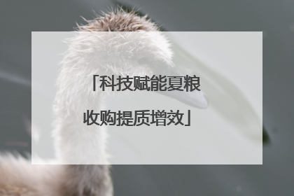 科技赋能夏粮收购提质增效