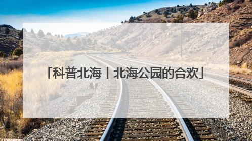 科普北海丨北海公园的合欢