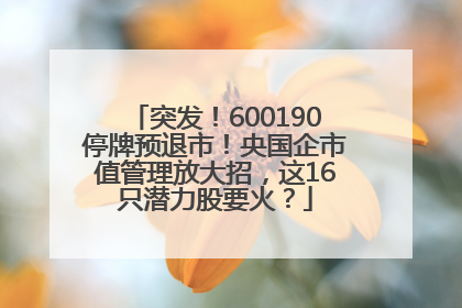 突发！600190停牌预退市！央国企市值管理放大招，这16只潜力股要火？
