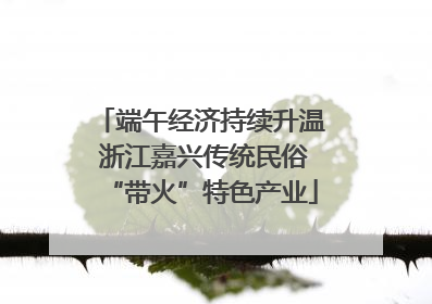 端午经济持续升温 浙江嘉兴传统民俗“带火”特色产业